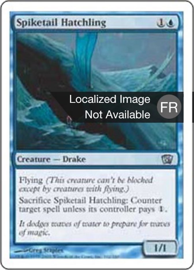 image Jeune dracodard