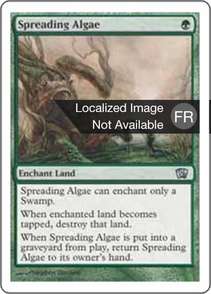 image Algue envahissante