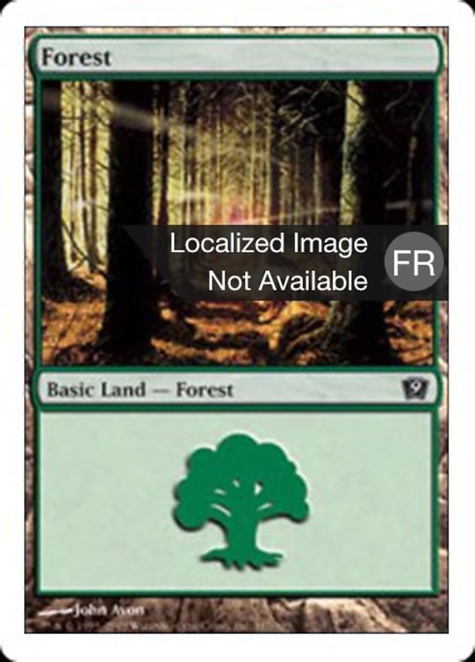 image Forêt