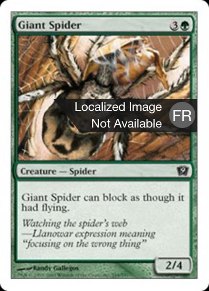 image Araignée géante