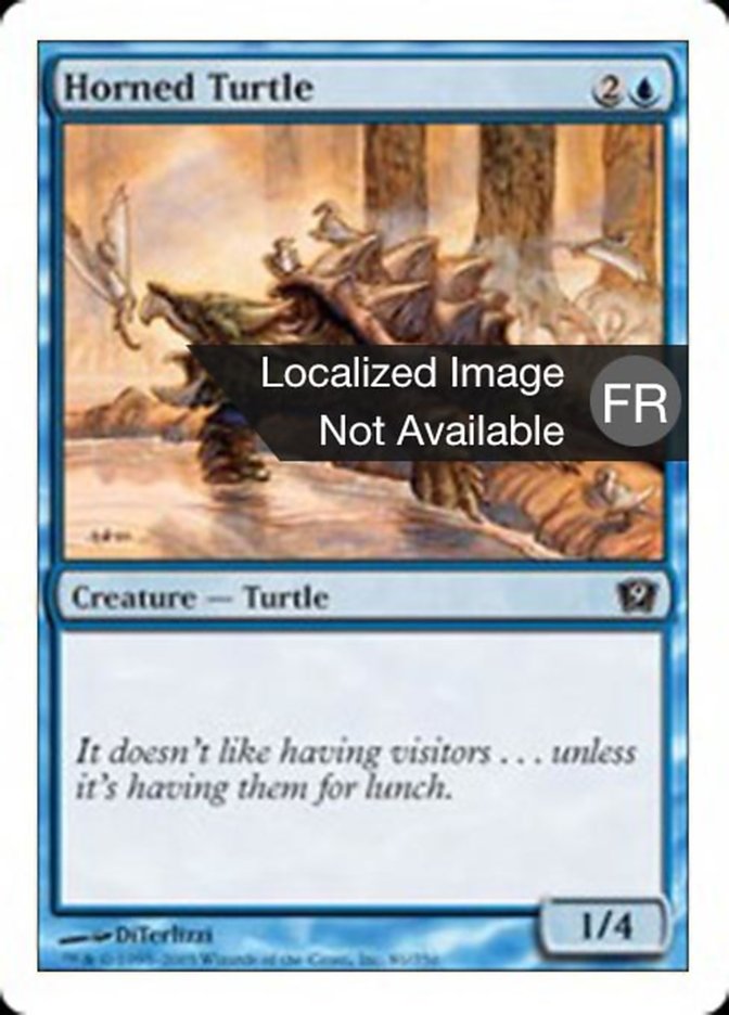 image Tortue cornue