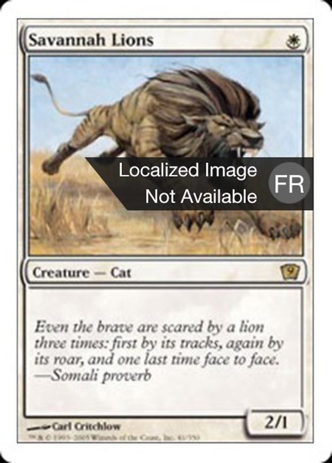 image Lions des savanes