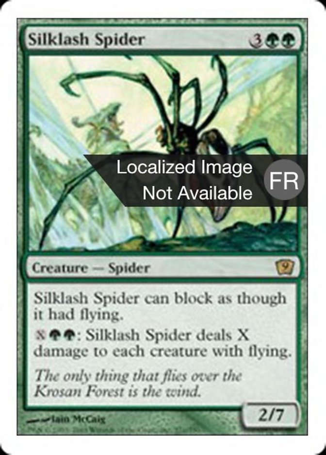 image Araignée fouettesoie