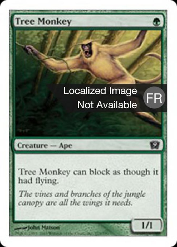 image Singe arboricole