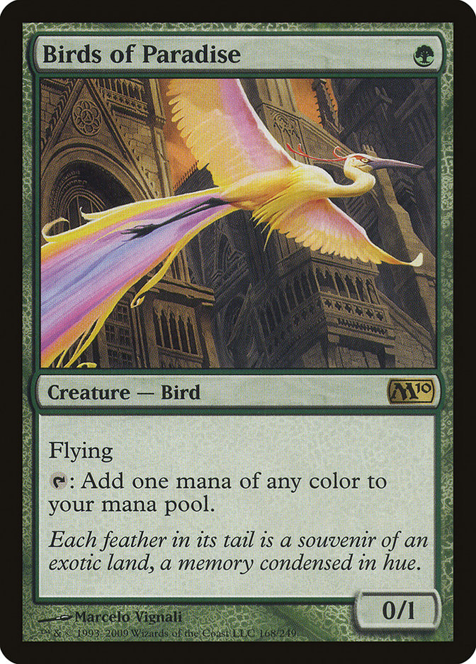 image Birds of Paradise