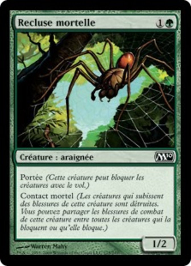 image Recluse mortelle