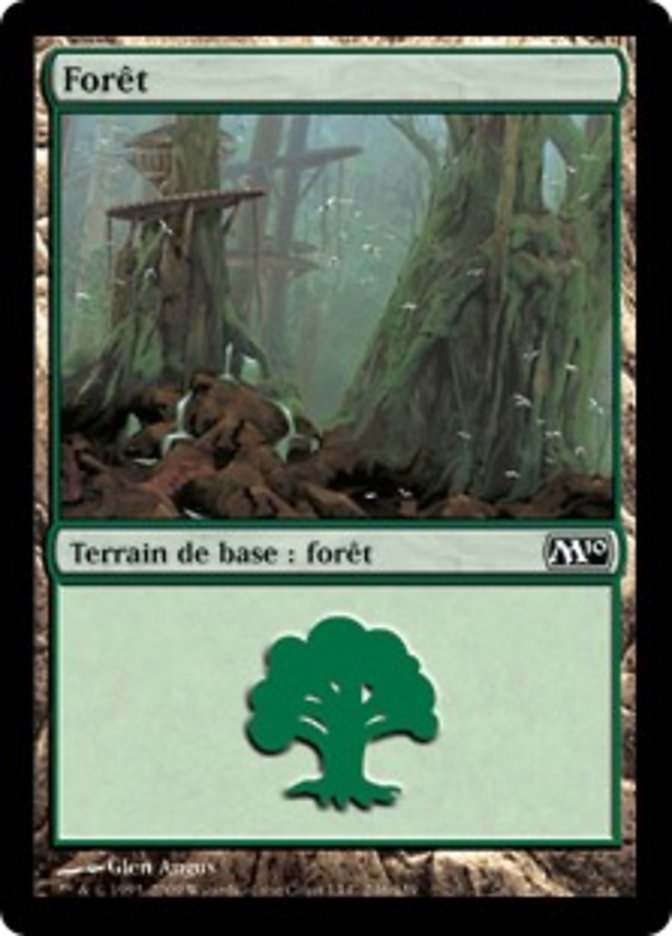 image Forêt