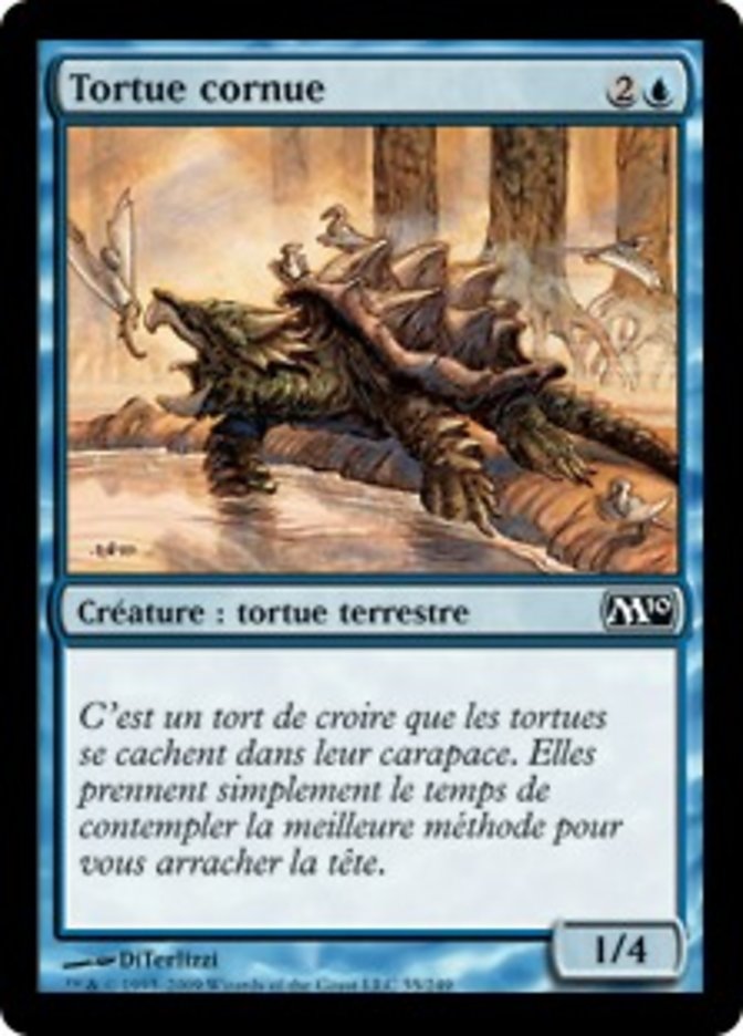 image Tortue cornue