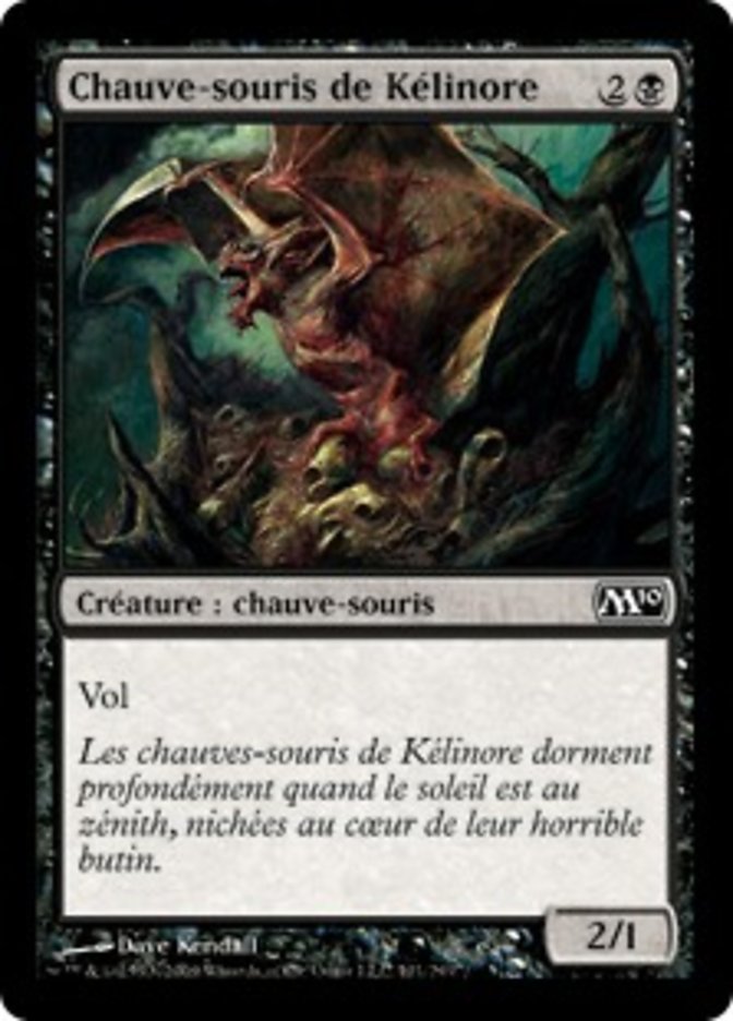 image Chauve-souris de Kélinore