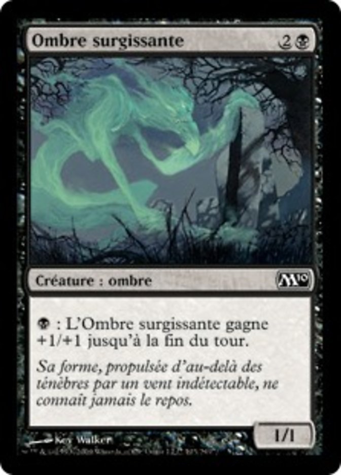 image Ombre surgissante
