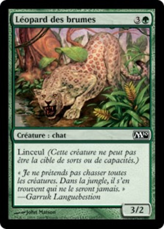 image Léopard des brumes