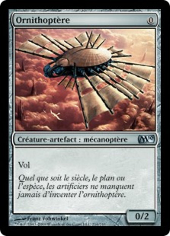 image Ornithoptère