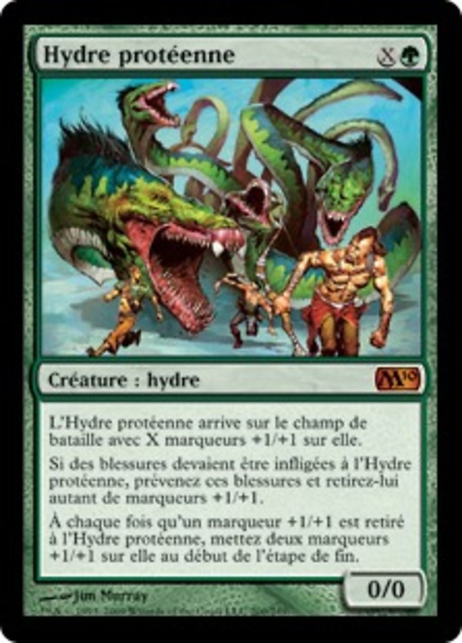 image Hydre protéenne