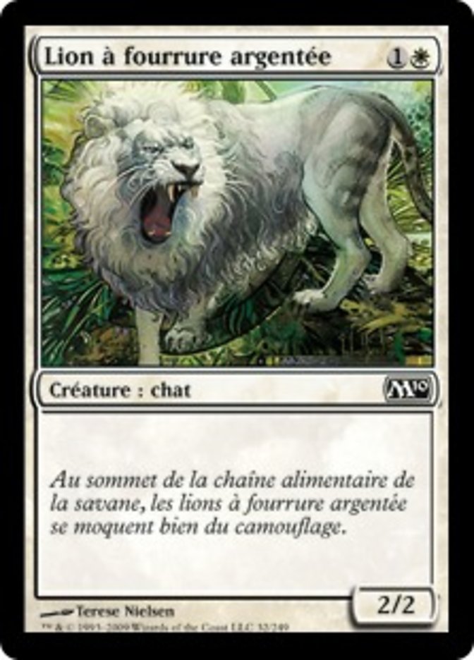 image Lion à fourrure argentée