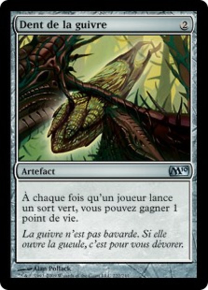 image Dent de la guivre
