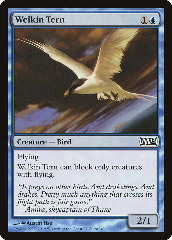 image Welkin Tern