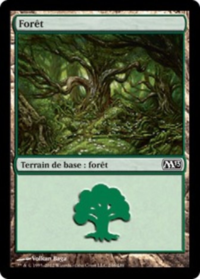 image Forêt