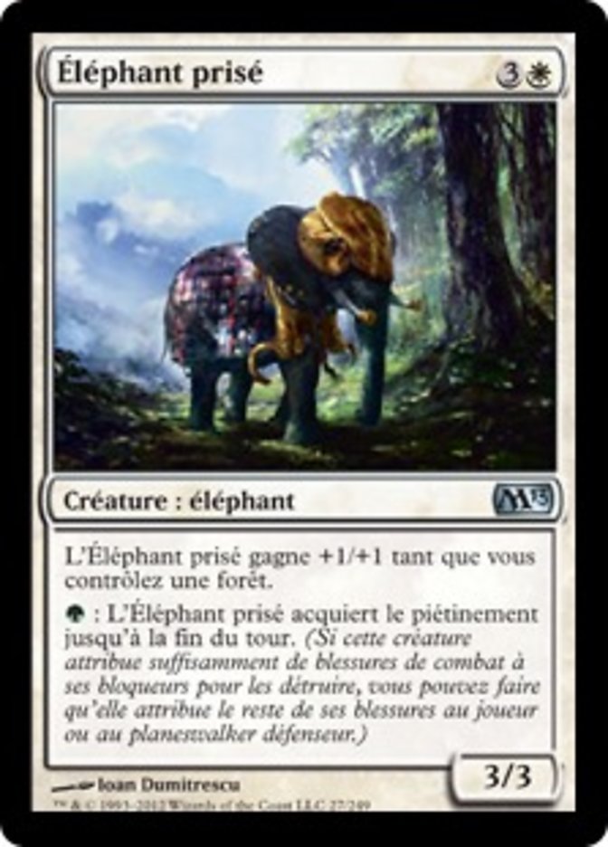 image Éléphant prisé