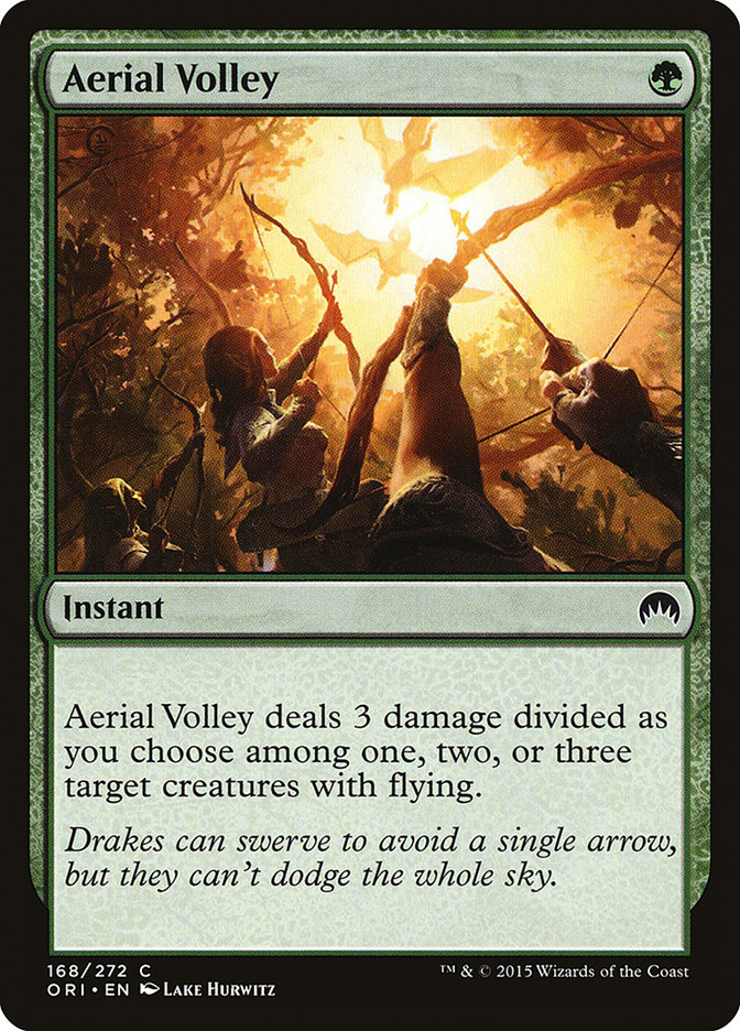 image Aerial Volley