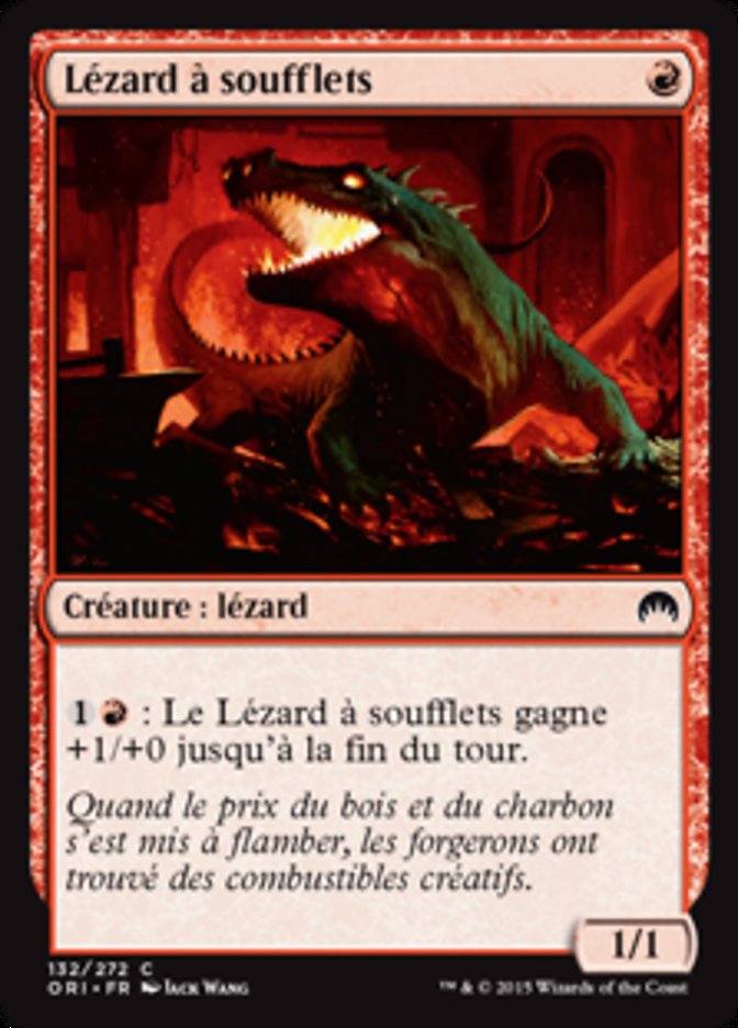 image Lézard à soufflets