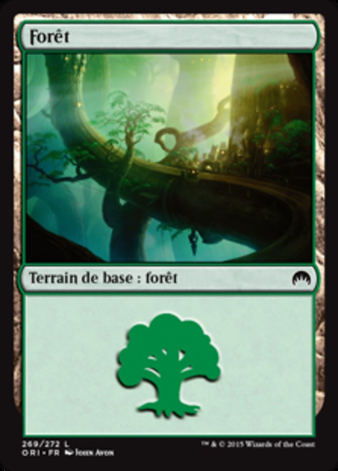 image Forêt