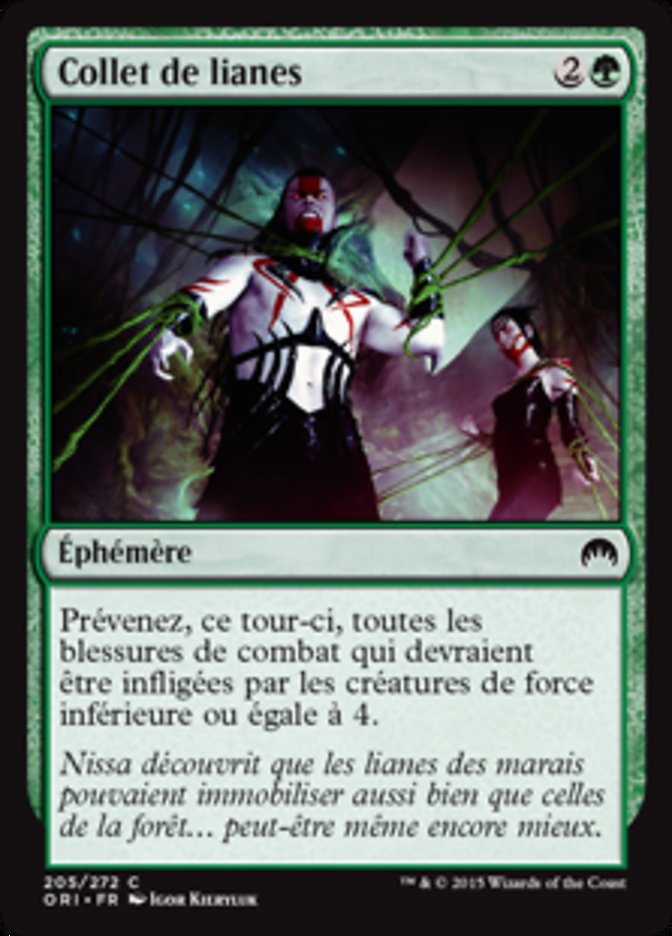 image Collet de lianes