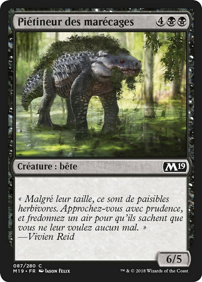 image Piétineur des marécages
