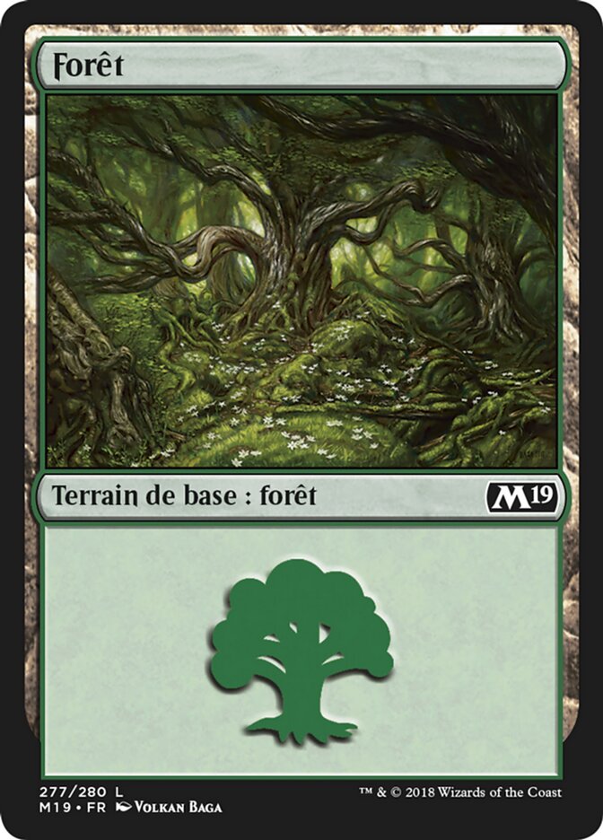 image Forêt