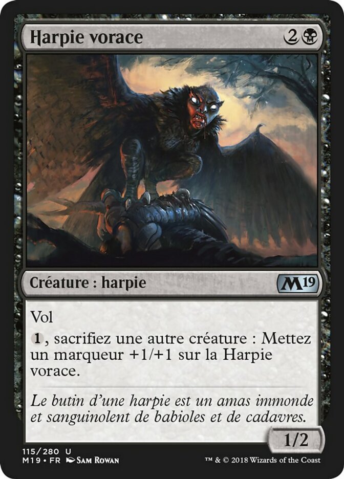 image Harpie vorace
