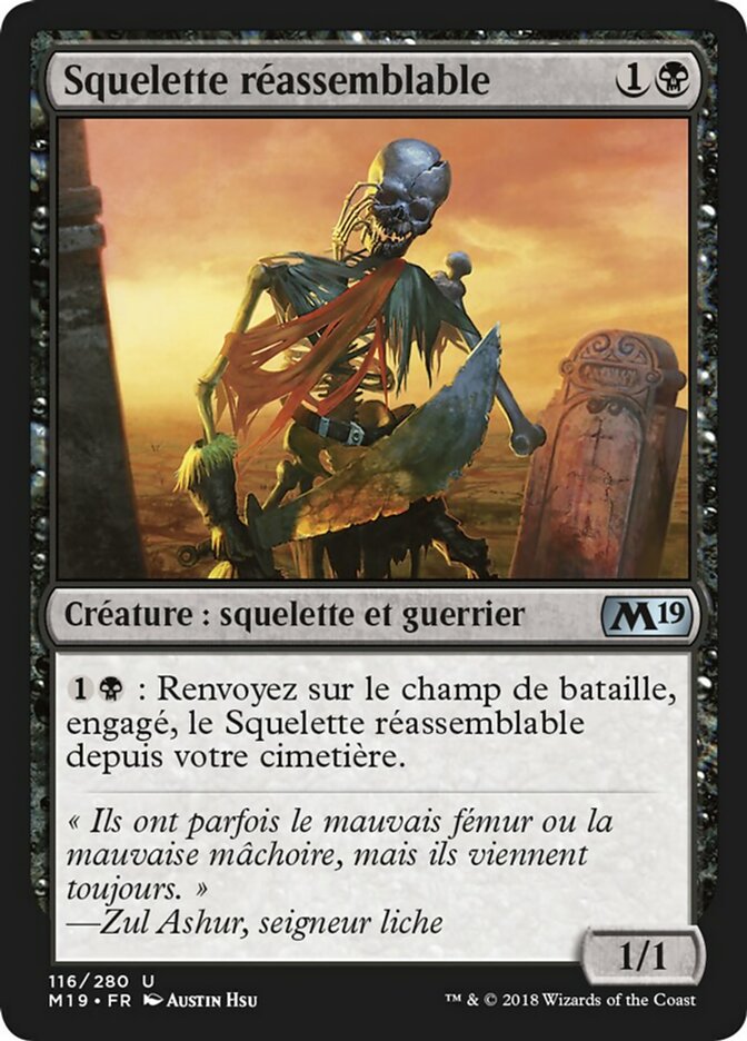 image Squelette réassemblable