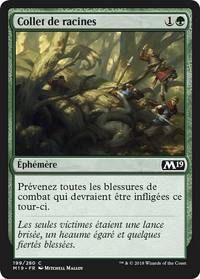 image Collet de racines