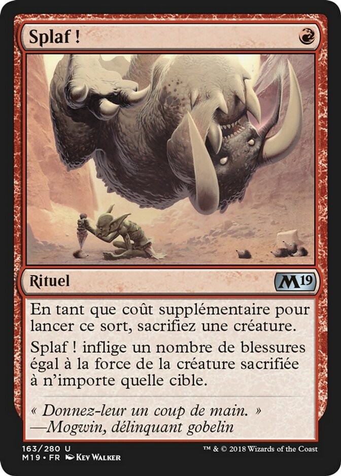 image Splaf !