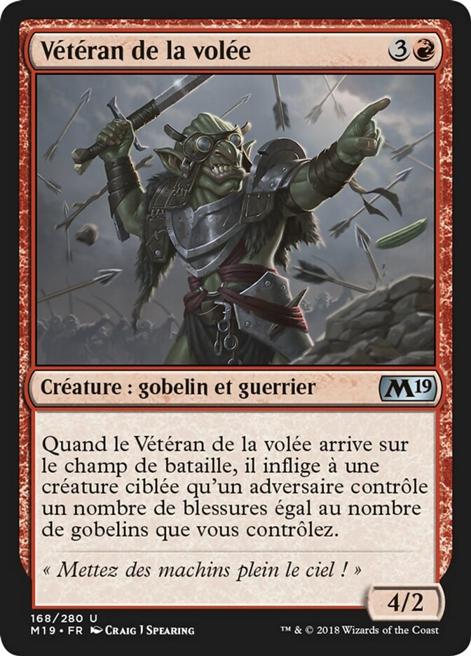 image Vétéran de la volée