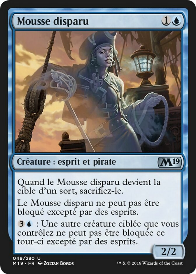 image Mousse disparu