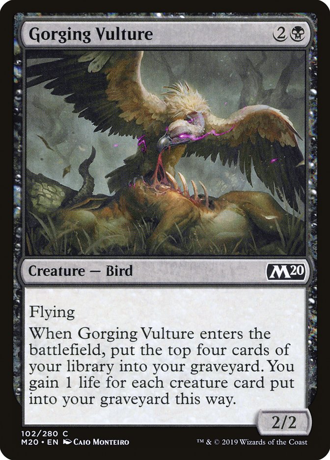 image Gorging Vulture