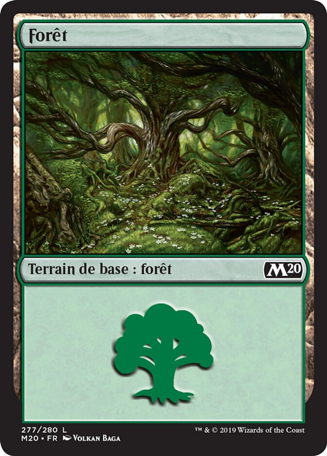 image Forêt
