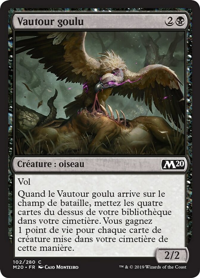 image Vautour goulu