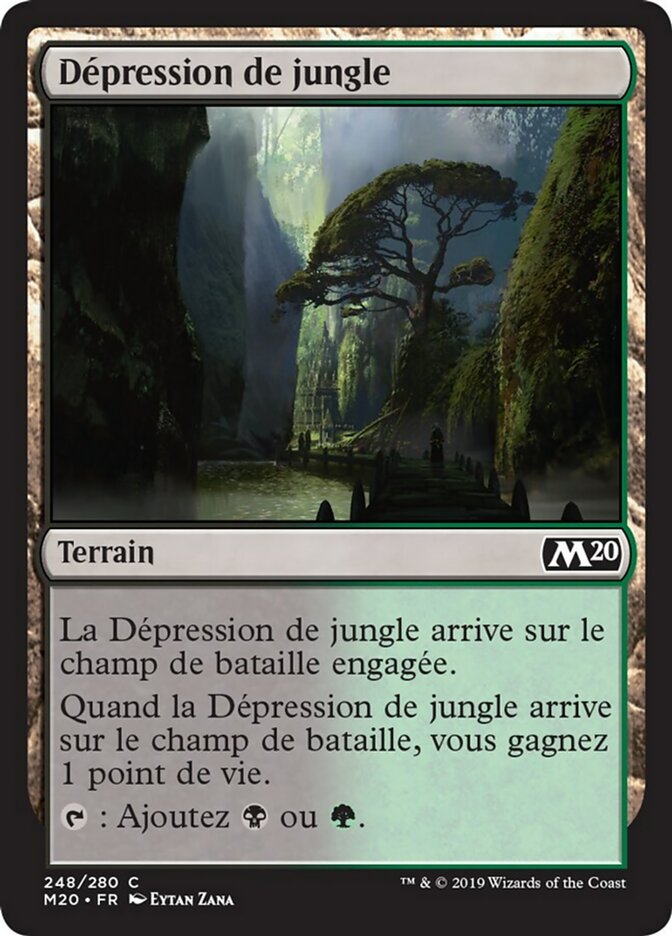 image Dépression de jungle