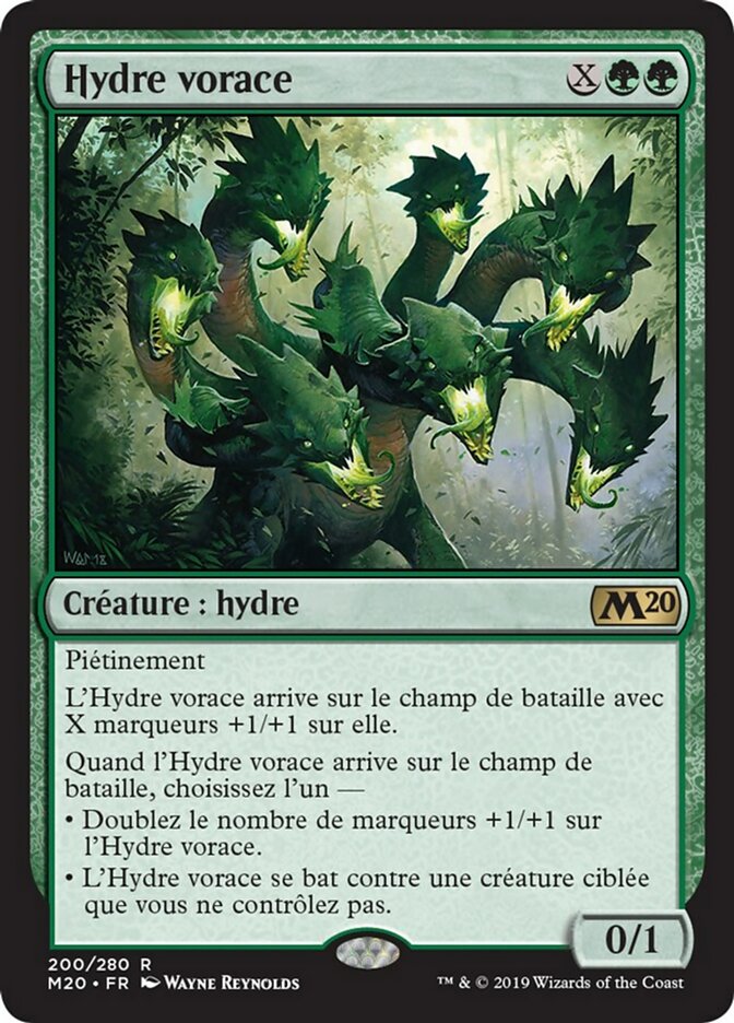 image Hydre vorace