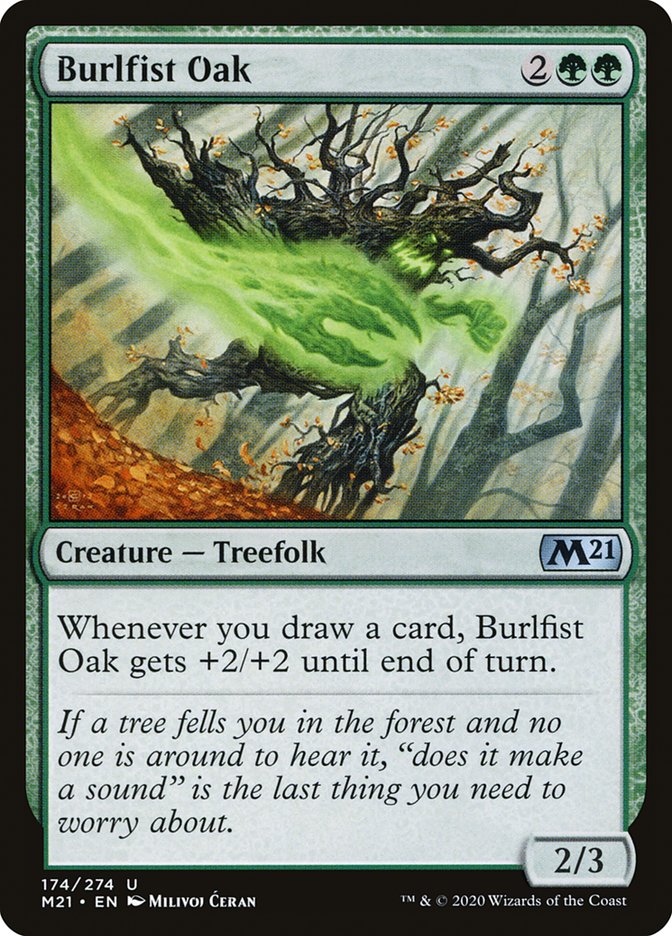 image Burlfist Oak