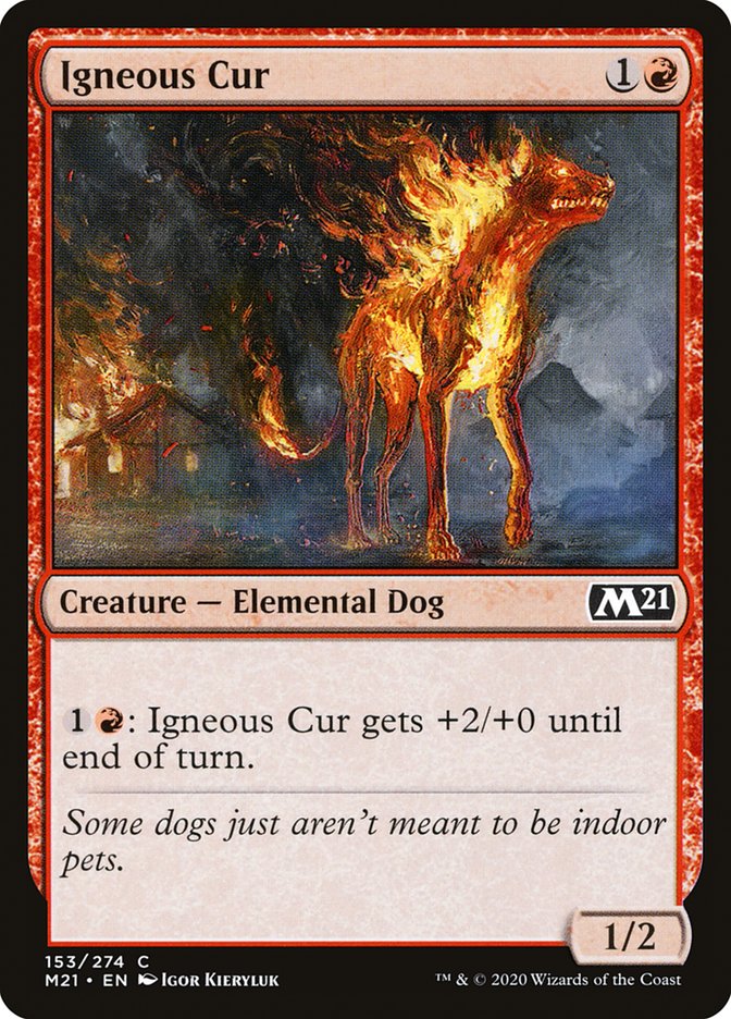 image Igneous Cur