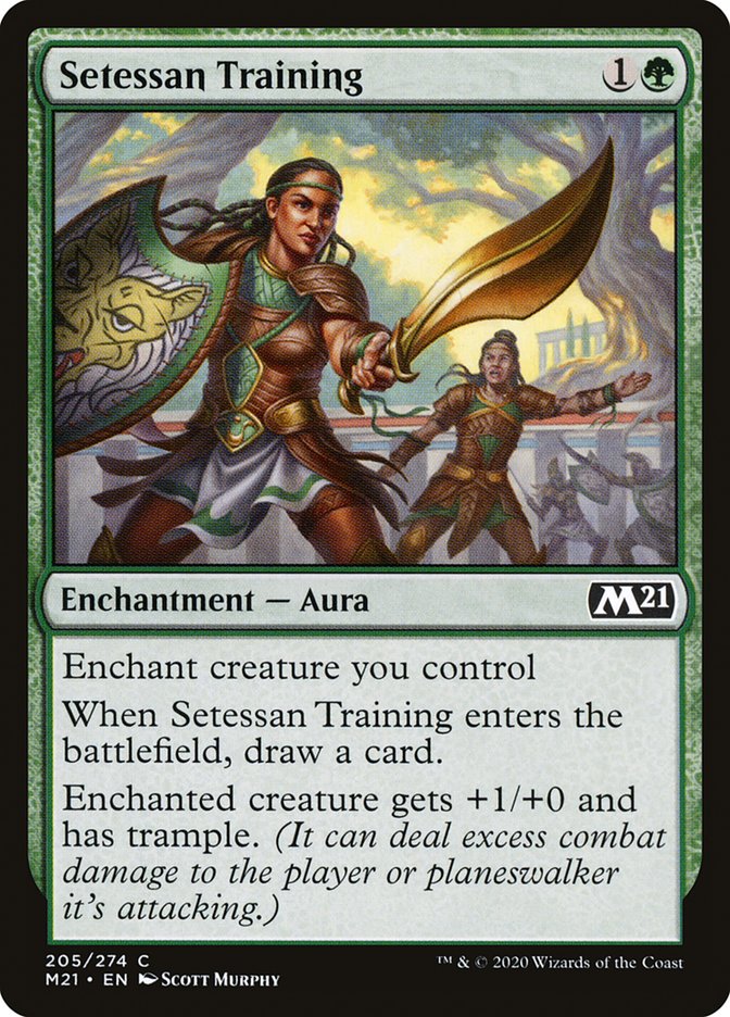 image Setessan Training