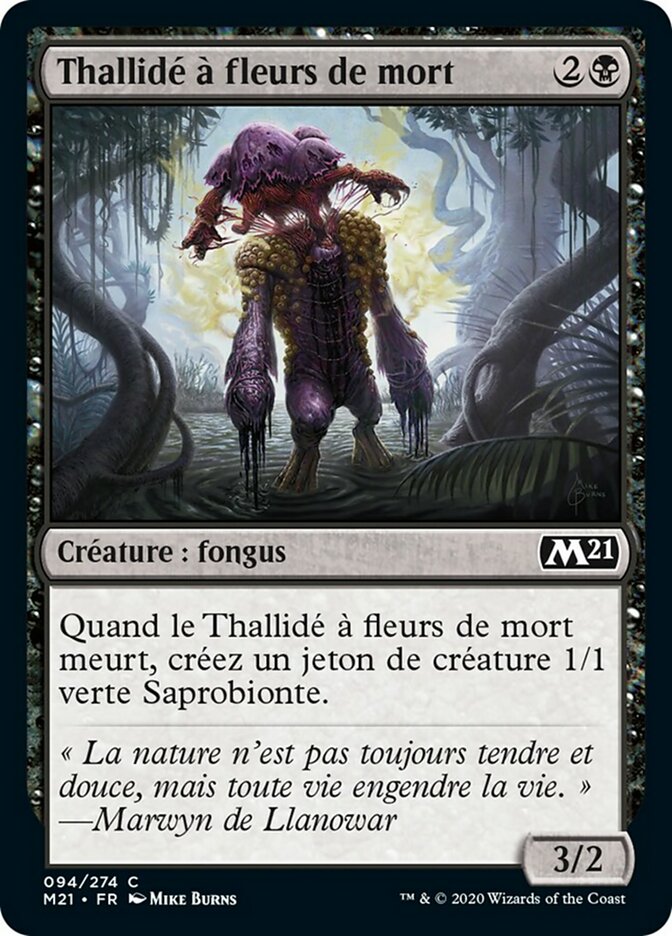 image Thallidé à fleurs de mort