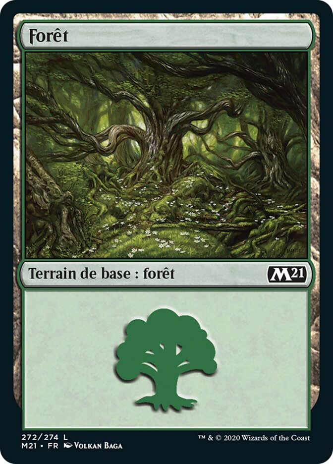 image Forêt