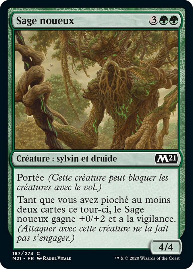 image Sage noueux