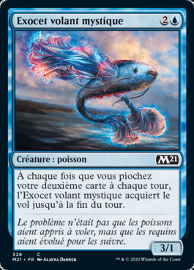 image Exocet volant mystique