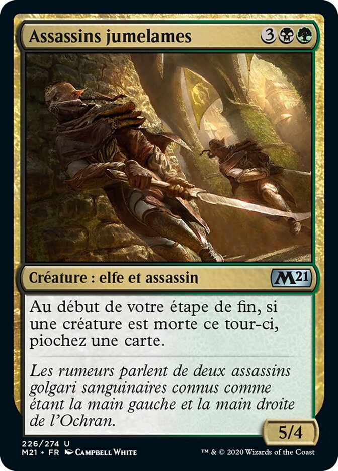 image Assassins jumelames