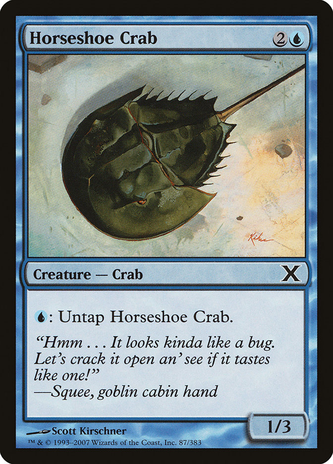 image Horseshoe Crab
