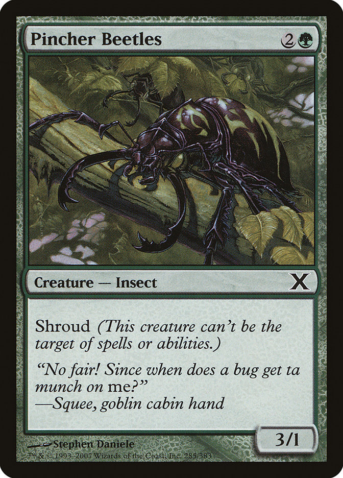 image Pincher Beetles