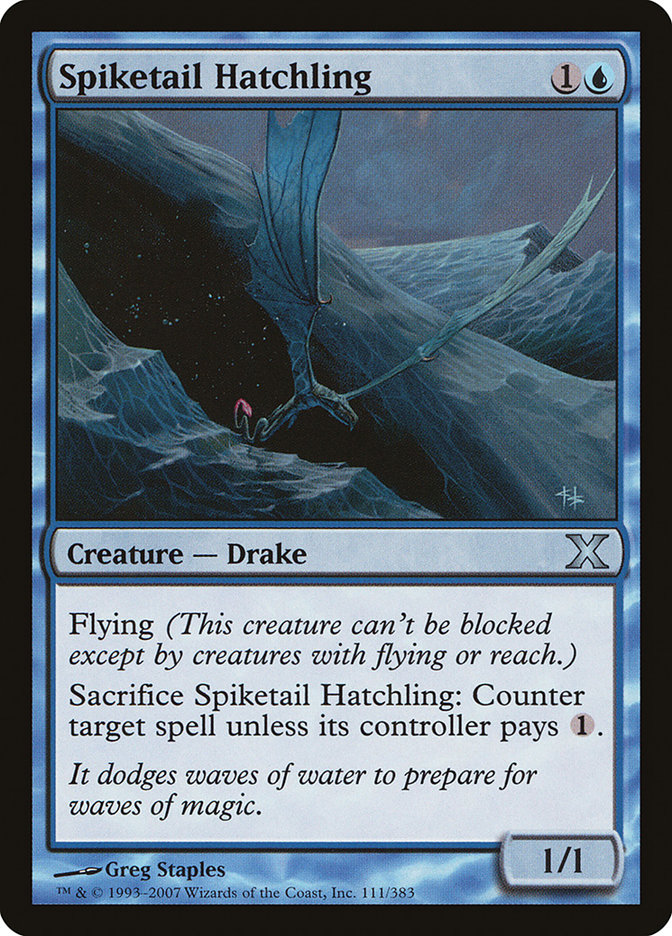 image Spiketail Hatchling